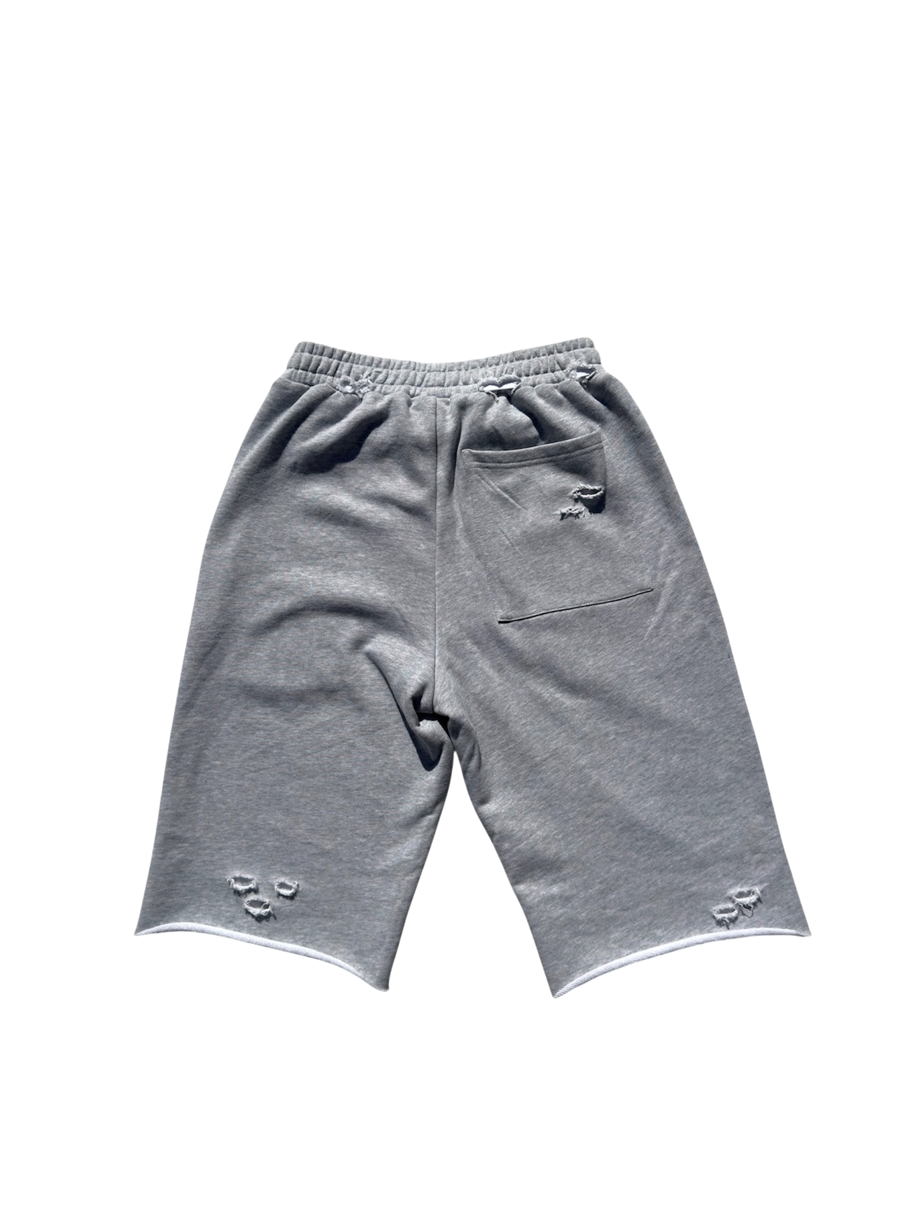 Varsity Sweatshorts